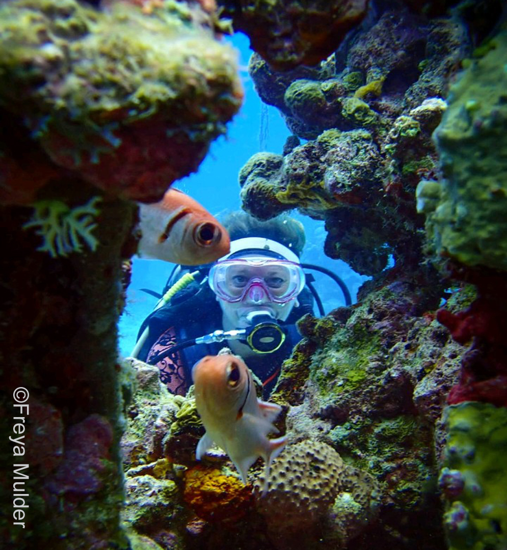 Tanya Diving Photo by Freya Mulder